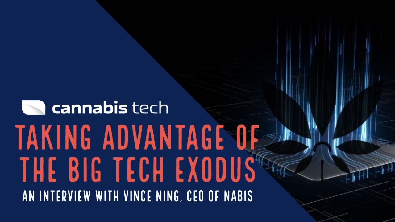 Taking Advantage of the Big Tech Exodus