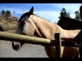 Crystal Peaks Youth Ranch in Bend, Oregon