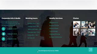 Edit Footer Copyright Content in LT Business Theme (PRO version only)