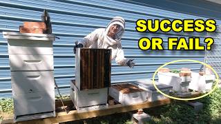 Did These Walk-Away Splits Succeed? (Out Yard Check)