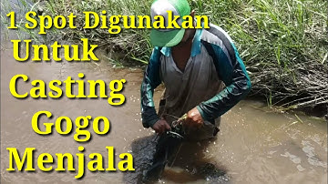 Cari Ikan Dengan Tangan Kosong ||Gogoh Di Parit || Akhir Musim Kemarau