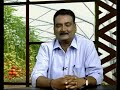 Insect pest management in Tomato, brinjal and Chilli