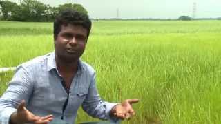 Natural agriculture  Bangladesh HD Media Production