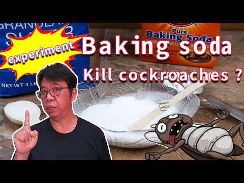 Video: GET From Cockroaches: GET Total And Other Means Against Cockroaches, Instructions For The Use Of Poison, Reviews