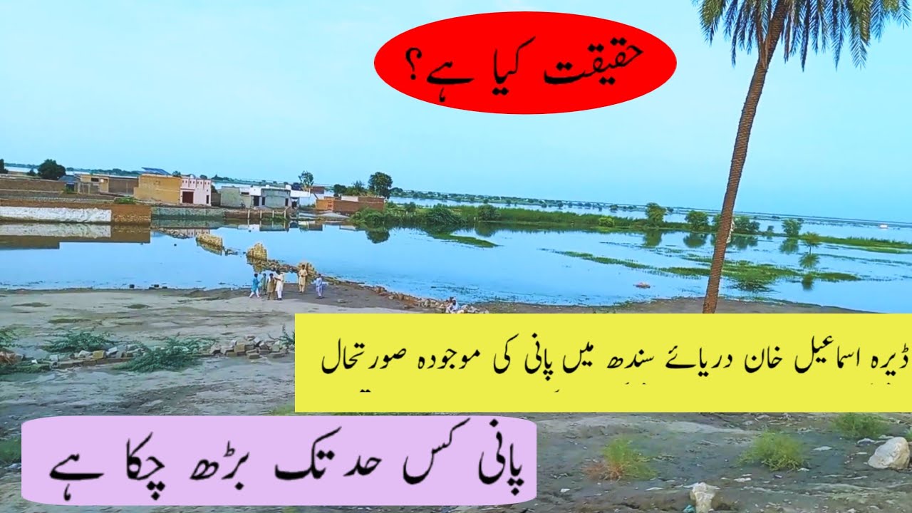 Current water level in Indus river dera ismail khan | ڈیرہ اسماعیل خان پانی کی موجودہ صورتحال 