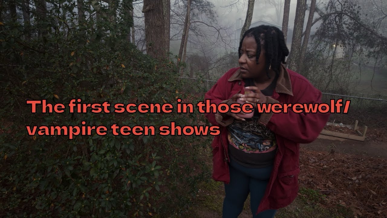 The first scene in those werewolf/vampire teen shows 