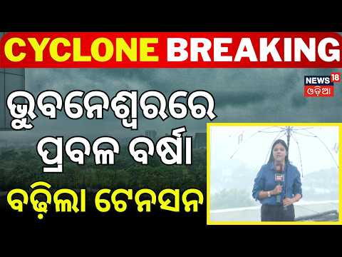 ଗୋଟିଏ ଝଟକାରେ ବଦଳିଗଲା ସ୍ଥିତି! Cyclone Arnab Live Updates: Trees Uprooted & Chaos Across Odisha