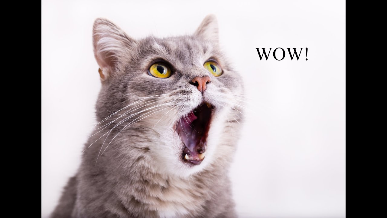 Uten 2685A computerised sewing machine 200 stitches, 8 buttonholes