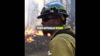 FIREFIGHTERS USE FIRE TO STOP WILDFIRES #wildfire #firefighters #viralstory