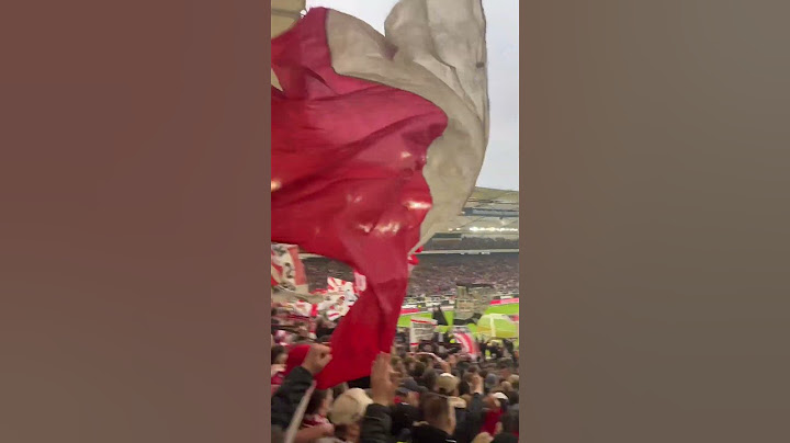 VfB Stuttgart - BVB | Fans feiern ihre Mannschaft