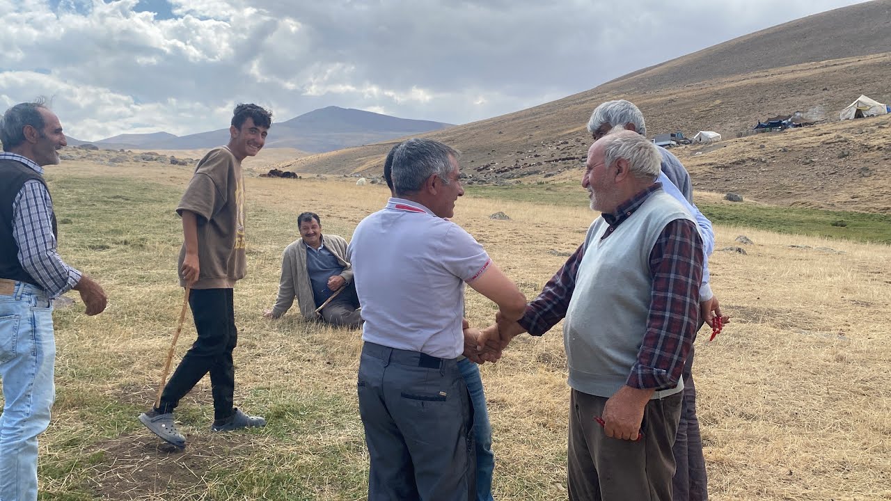 ERKEK KUZU YAŞLI KOYUN SATIŞLARI YAYLADA DEVAM EDİYOR.