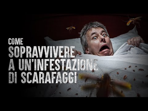 Video: Gli scarafaggi mordono gli umani?