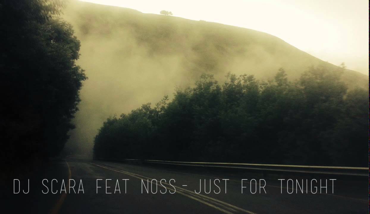 Dj Scara feat Noss   Just for tonight