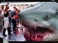 The Megalodon Shark Attack!