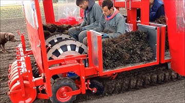 Elco 4 rijige schijf plantmachine voor planten van 10 tot 80cm