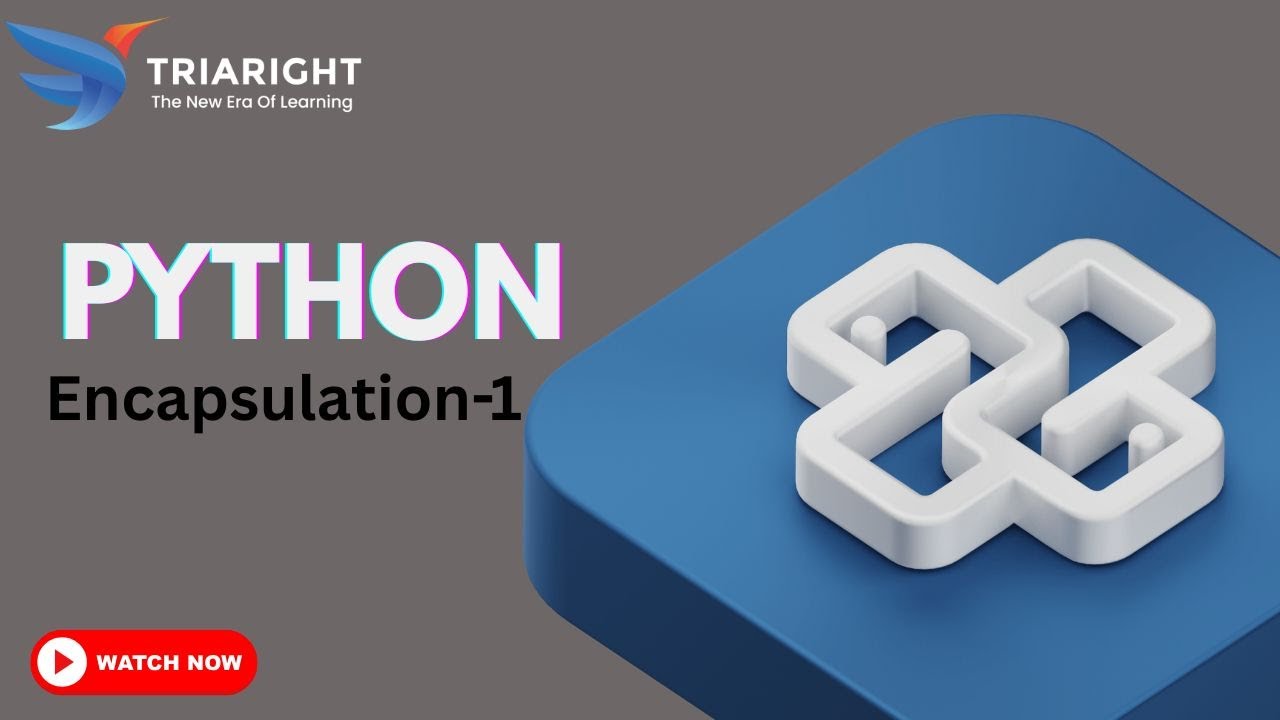 Encapsulation in Python | Understanding Data Hiding | Python Tutorial ...