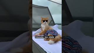 Evlenmeden Önce Ve Sonra Erkekler