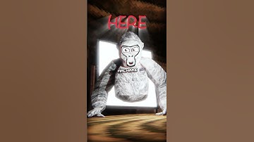 BEST FRIENDS! #gorillatag #gtag #vr #blender