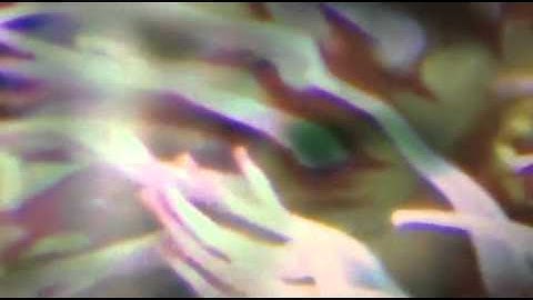 UNKWON - 08 (Official Video)