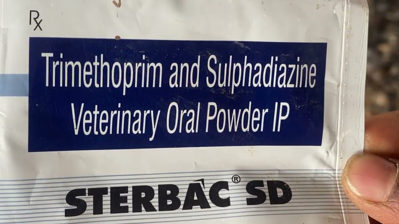 Desi murgi bioler ko january,February me hone wale bimariyan#youtubevedioviral#subscribe 