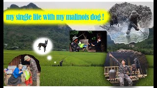 my independent life with my Malinois dog | Eastern Lao people