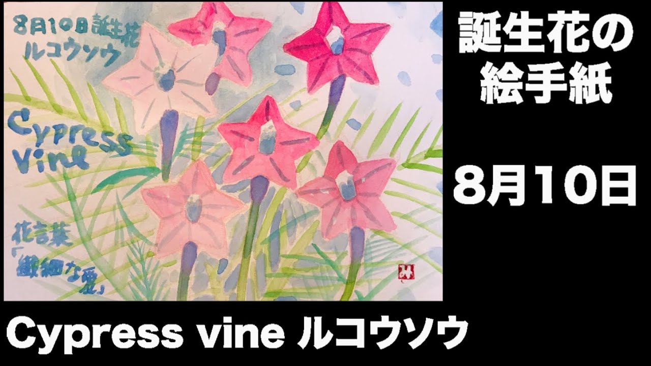 誕生花の絵手紙 8月10日 Cypress Vine ルコウソウ Youtube