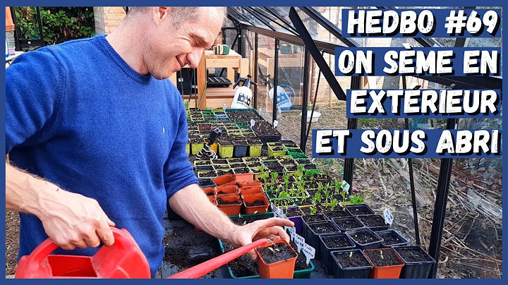 Suivi des semis et plantation #février 2021