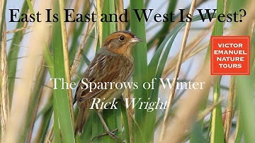 East Is East and West Is West  The Sparrows of Winter with Rick Wright