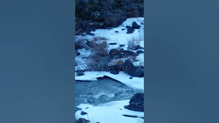 Falls