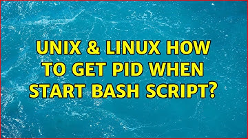 Unix & Linux: How to get PID when start bash script?