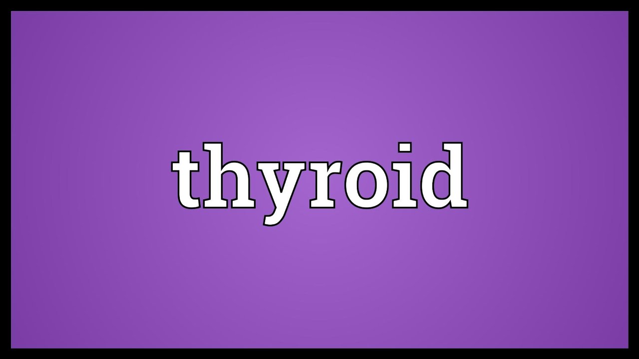 Thyroid Meaning YouTube