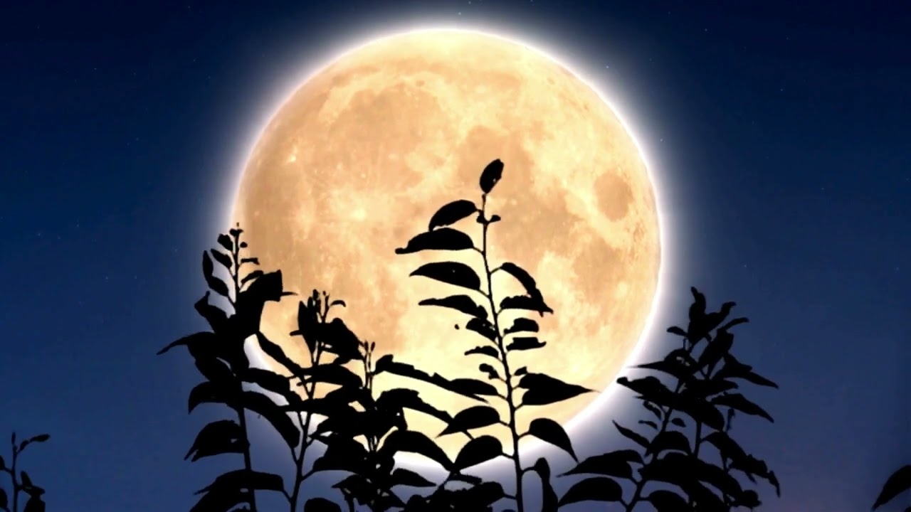Watch Mother Sky Mother Moon Mother Earth by Lugo ♥️💋🎶 on YouTube Watch Mother Sky Mother Moon Mother Earth by Lugo ♥️💋🎶 on YouTube