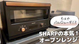 シャープ　オーブンレンジ 18L フラット　RE-SD18A-B