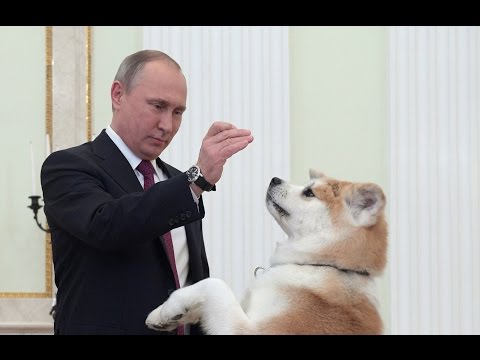 'She is being a guard dog' - Putin jokes as his pet barks at Japanese journalists