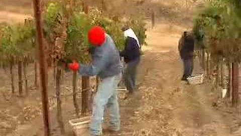 Edward Sellers Paso Robles Winery