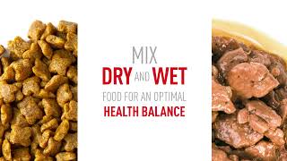 ROYAL CANIN® Mini Adult