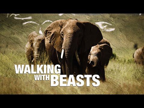 Walking With Modern Beasts