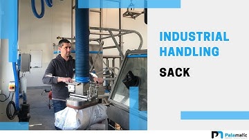 Sack tube lifter - Sack manipulator - Vacuum tube lifter - Lifting systems | Palamatic Process Inc.