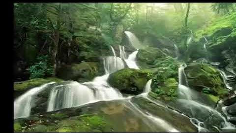 عشر ساعات من القرآن الكريم  بدون حقوق الطبع
