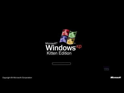 Windows XP Kitten Edition Startup Sound