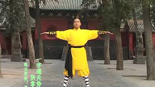 Shaolin Xi Sui Gong 1