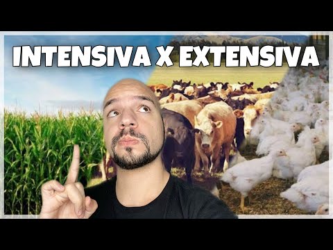 Vídeo: Conta pessoal financeira: para que serve?