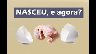 Os primeiros cuidados com o recém nascido!