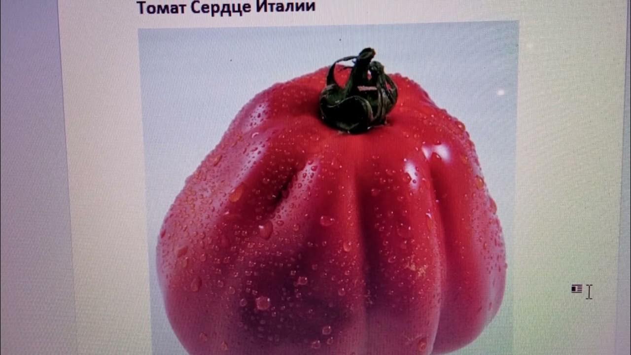 Посадите их не пожалеете Самые вкусные, самые сладкие красные и ...