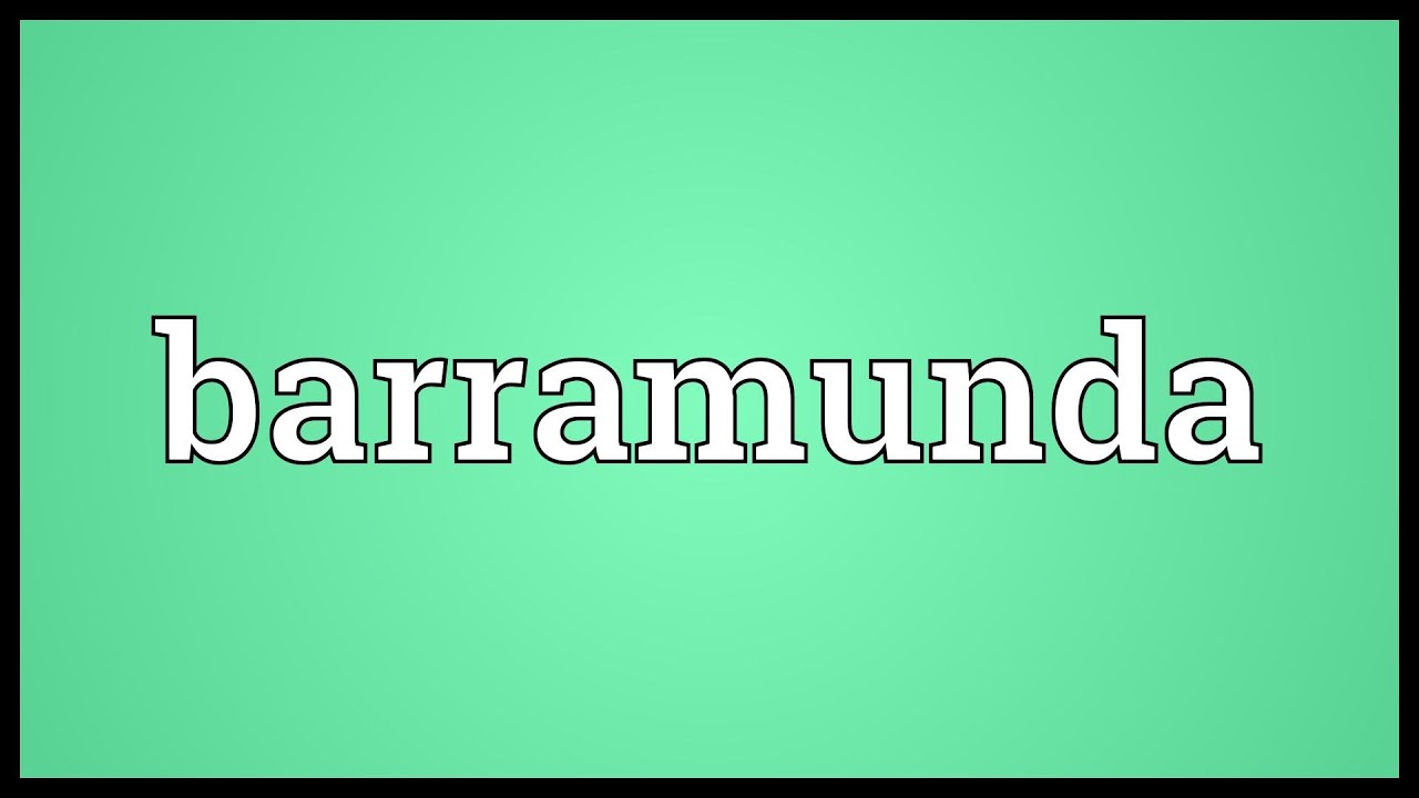 Barramunda Meaning
