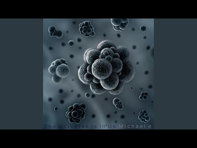 Michael E - I Love the Rain