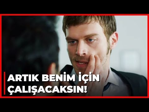 Kuzey, Güney'in Patronu Olacağını Öğrenince Çıldırdı! - Kuzey Güney 34. Bölüm