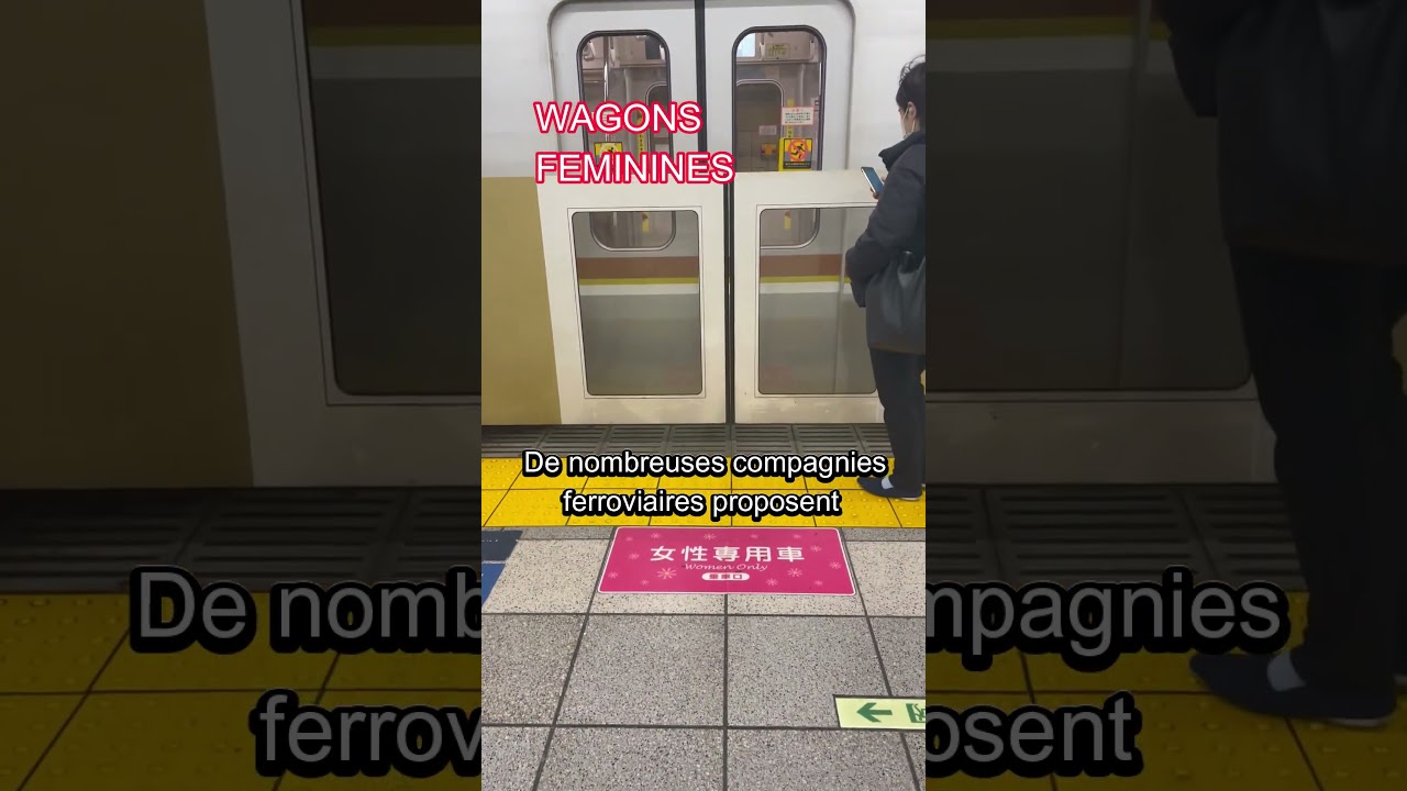 😄#japon #tokyo #culture #taxi #train #japonais #shorts