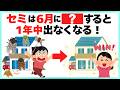 【今しかできない】セミを1年中見たくない人は必ず6月中にコレやって!