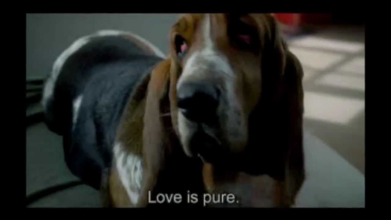 Basset Hound in advertising YouTube